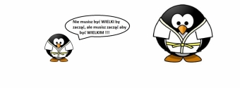 Zdjecie